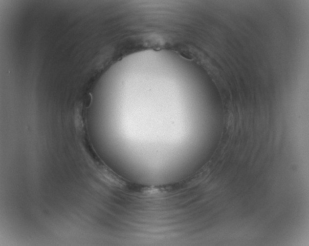 X0000070240616200606020934