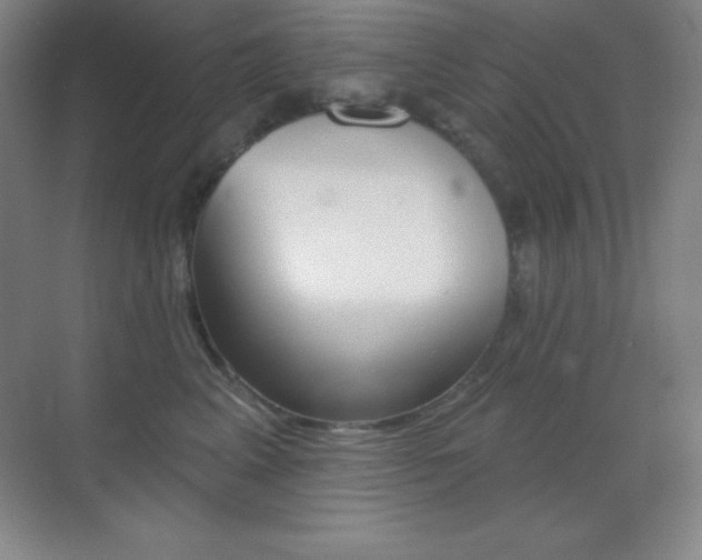 X0000070240617200606020934