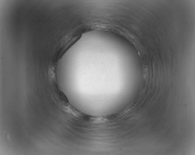 X0000070240621200606020934