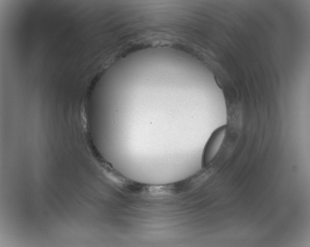 X0000070240622200606020934