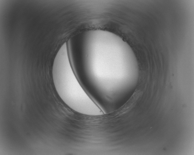 X0000070240624200606020934