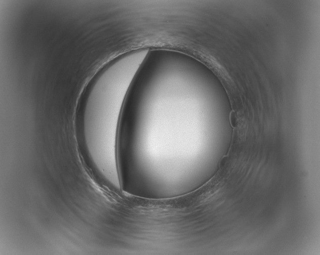 X0000070240626200606020933