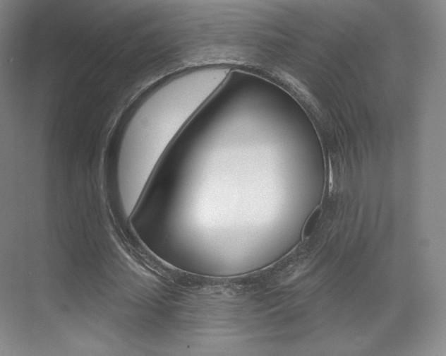 X0000070240627200606020933