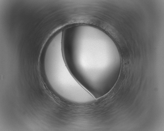 X0000070240628200606020933