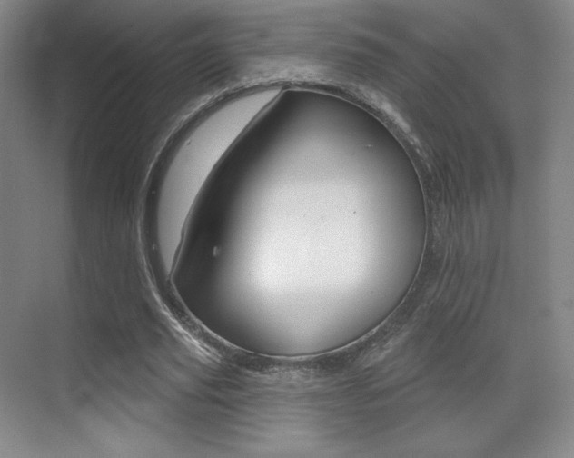X0000070240629200606020933