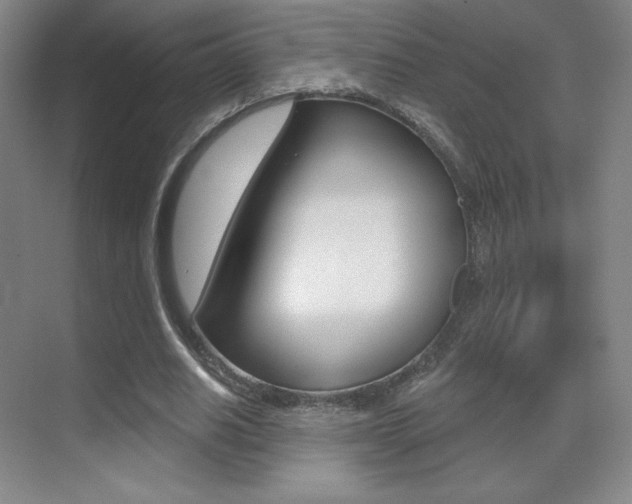 X0000070240630200606020933