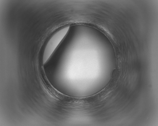 X0000070240631200606020933