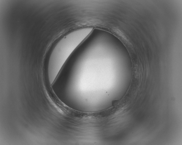 X0000070240634200606020933