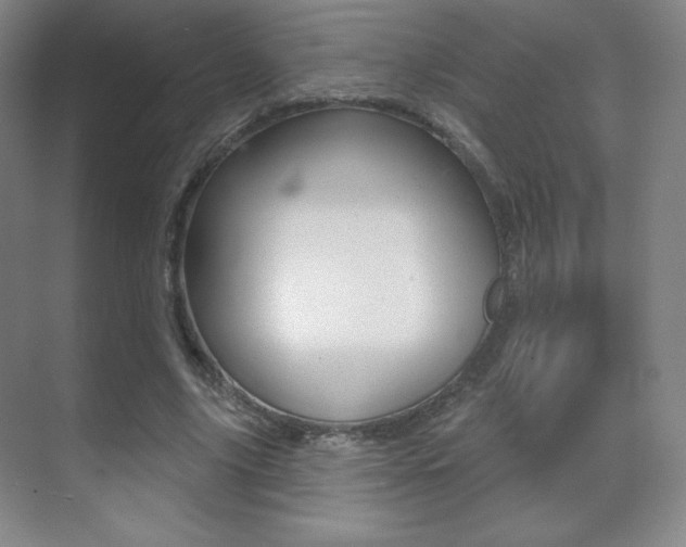 X0000070240635200606020933