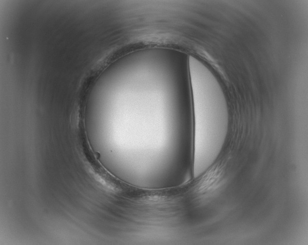X0000070240637200606020934