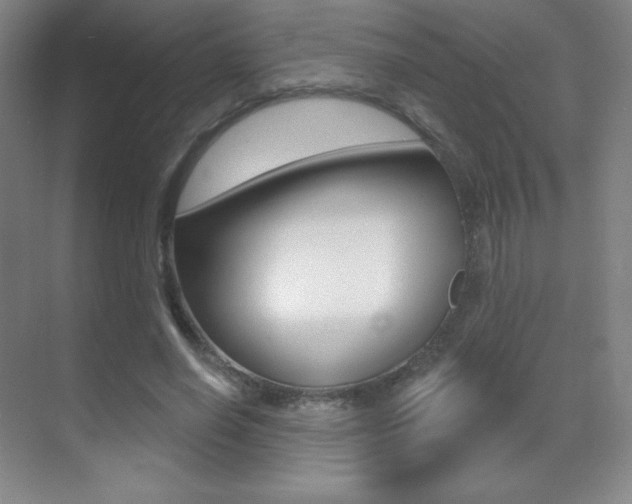 X0000070240638200606020934
