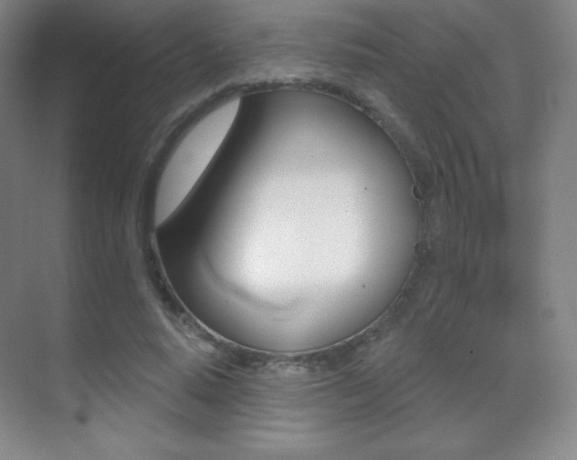 X0000070240640200606020934