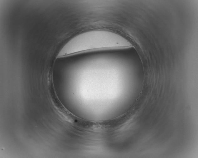 X0000070240641200606020934