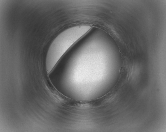 X0000070240645200606020934