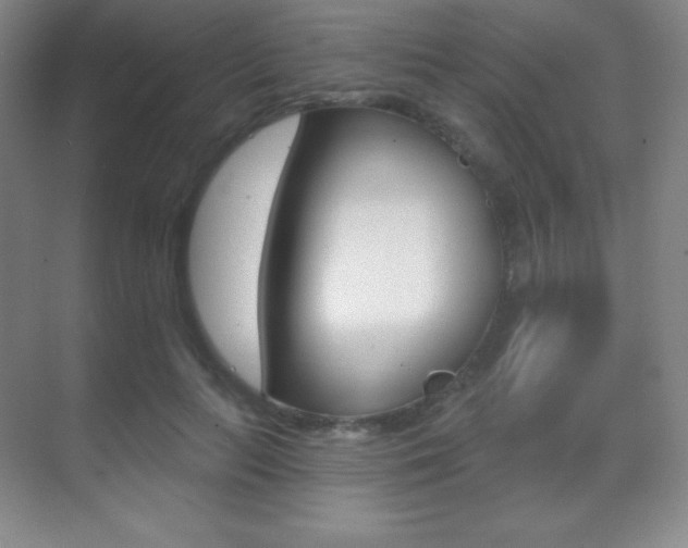 X0000070240647200606020934