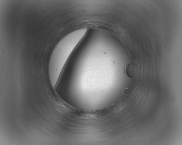X0000070240649200606020934