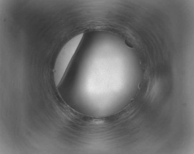 X0000070240651200606020934