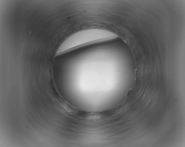 X0000070240653200606020934