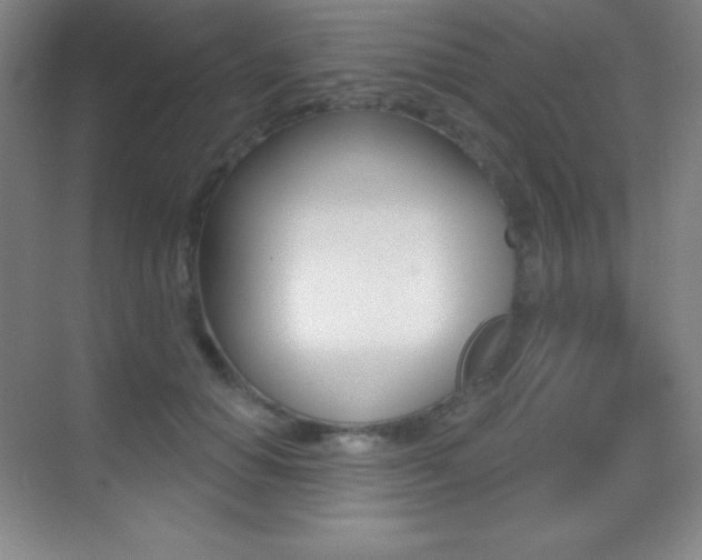 X0000070240654200606020934