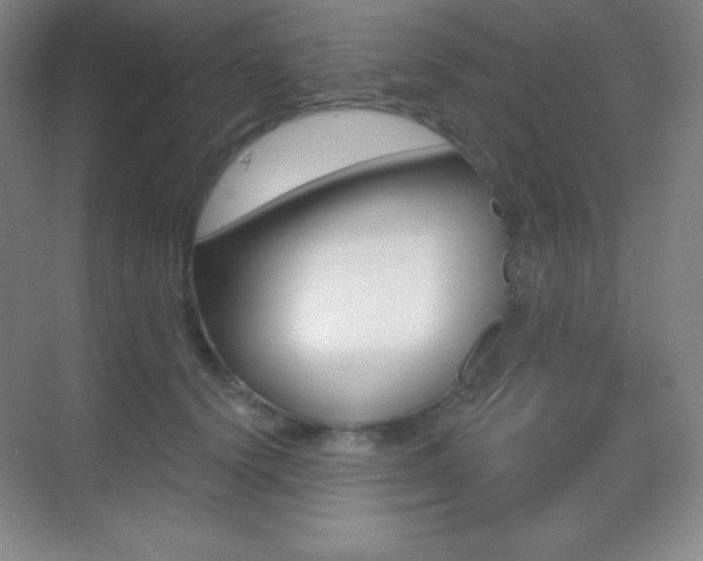 X0000070240656200606020934