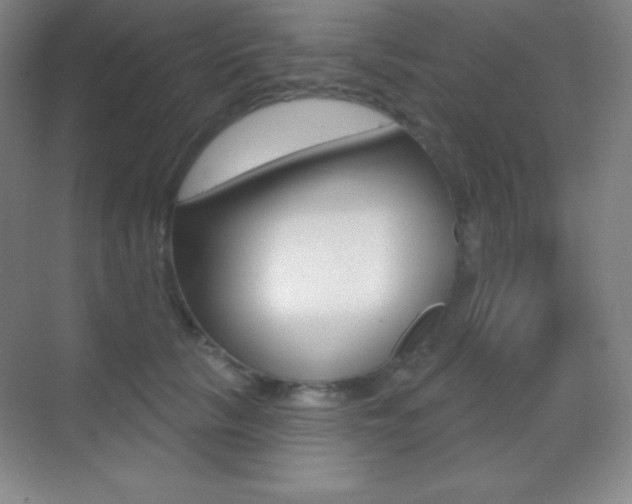 X0000070240657200606020934