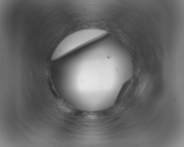 X0000070240658200606020934