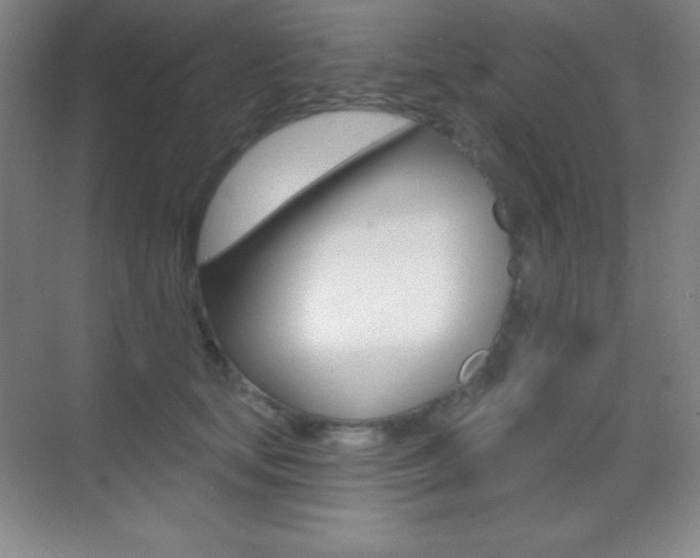 X0000070240659200606020934