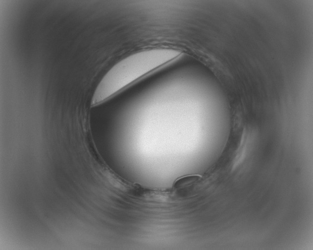 X0000070240661200606020934