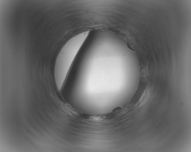 X0000070240662200606020934