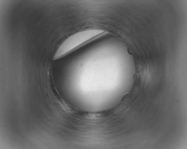 X0000070240664200606020934