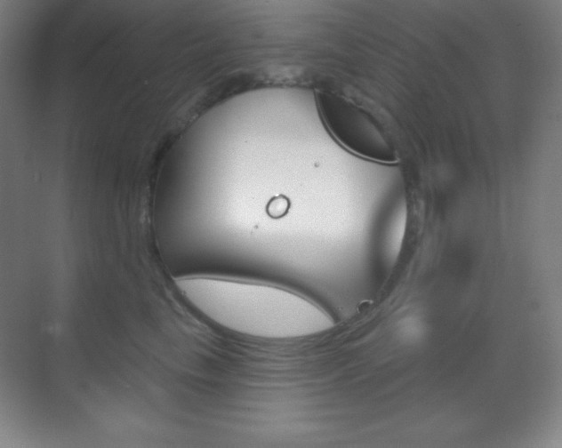 X0000070240665200606020934
