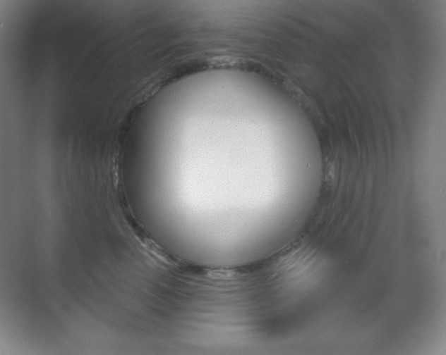 X0000070240666200606020934
