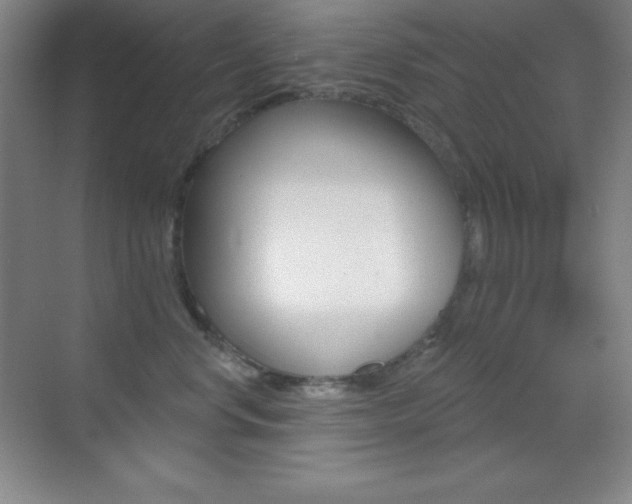 X0000070240668200606020934