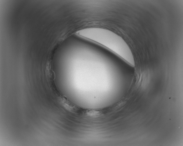 X0000070240669200606020934