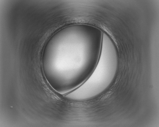 X0000070240673200606020933