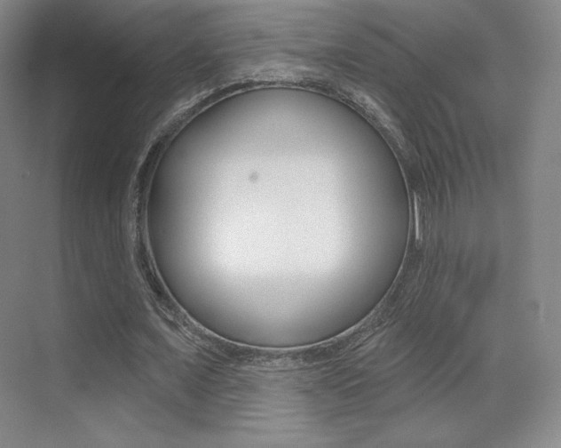 X0000070240675200606020933