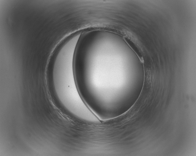 X0000070240676200606020933