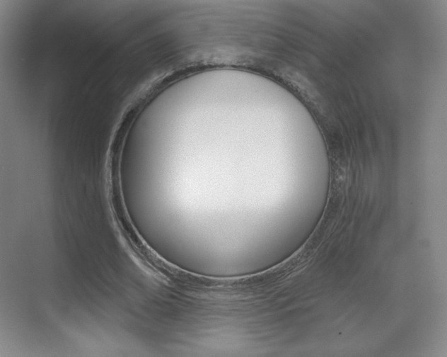 X0000070240678200606020933