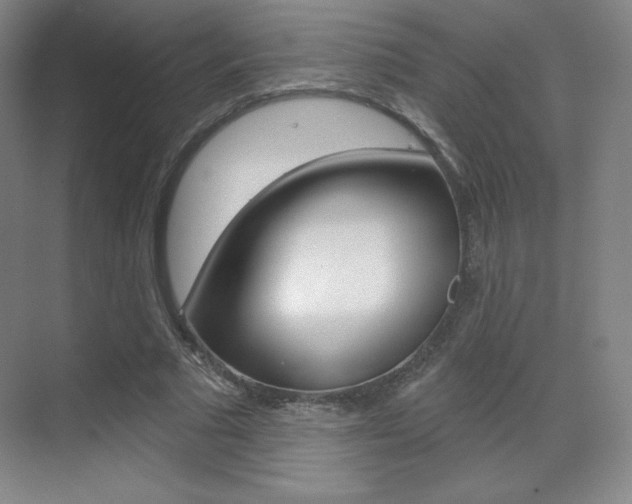 X0000070240681200606020933