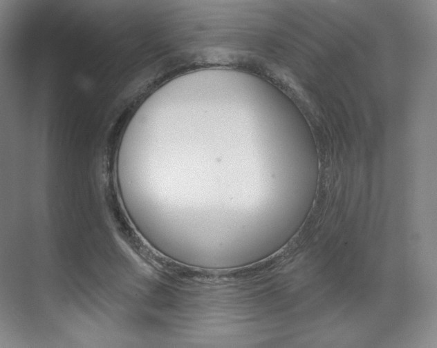 X0000070240683200606020933
