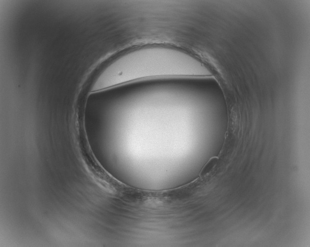 X0000070240684200606020933