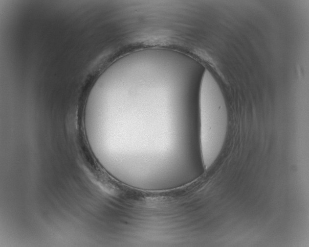 X0000070240686200606020933