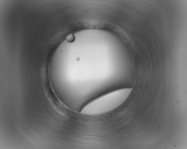 X0000070240690200606020933