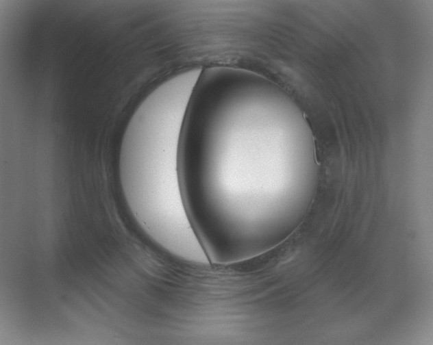 X0000070240693200606020933