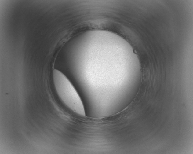X0000070240694200606020933