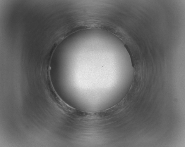 X0000070240696200606020933