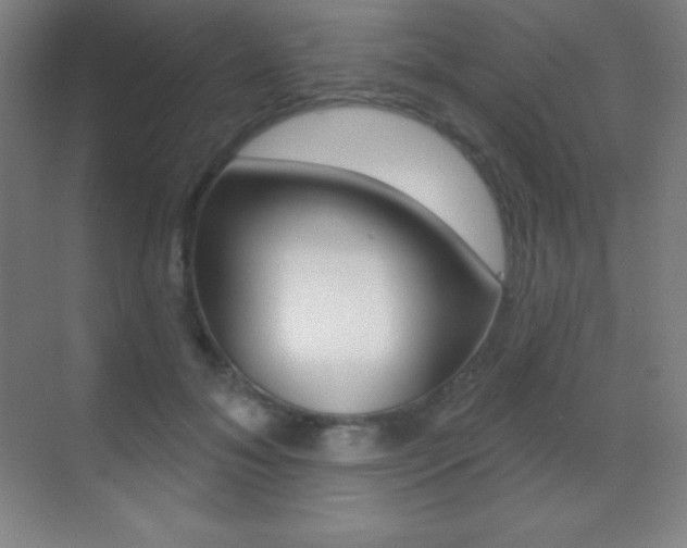 X0000070240700200606020933