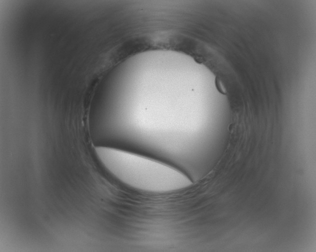 X0000070240702200606020933