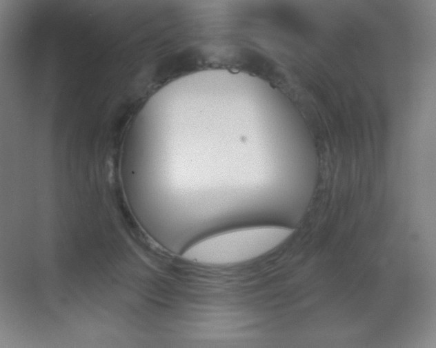 X0000070240703200606020933