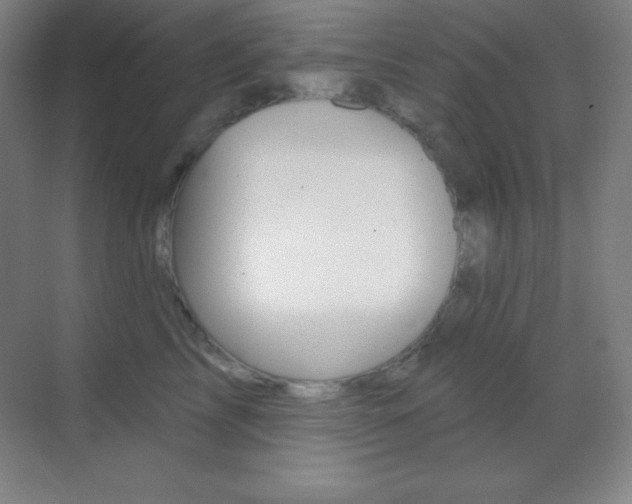 X0000070240713200606020933